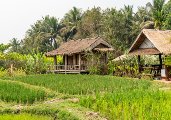 Luông Pha Băng - Công Ty TNHH MTV Khám Phá Việt Nam